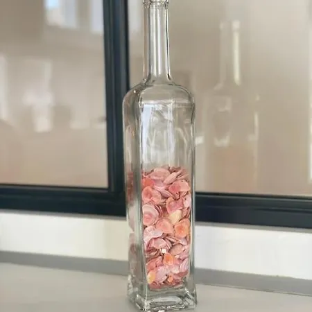 L'hallali A Centre Appartement *