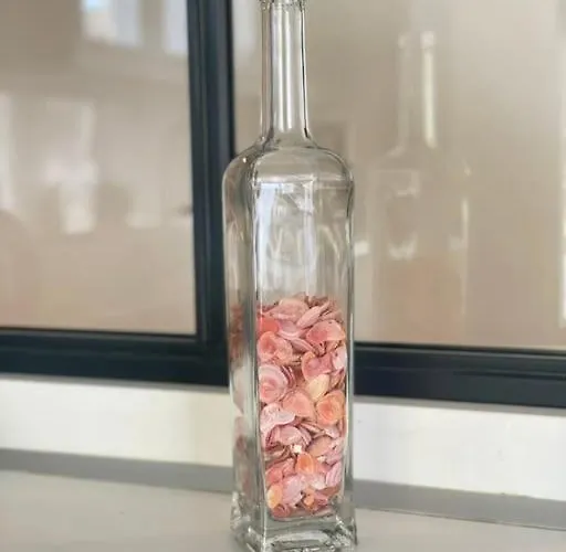 L'hallali A Centre Apartment *