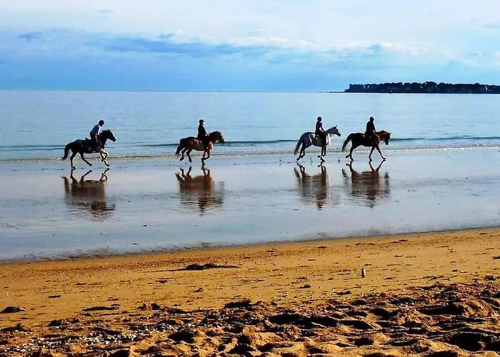 L'hallali A Centre La Baule-Escoublac